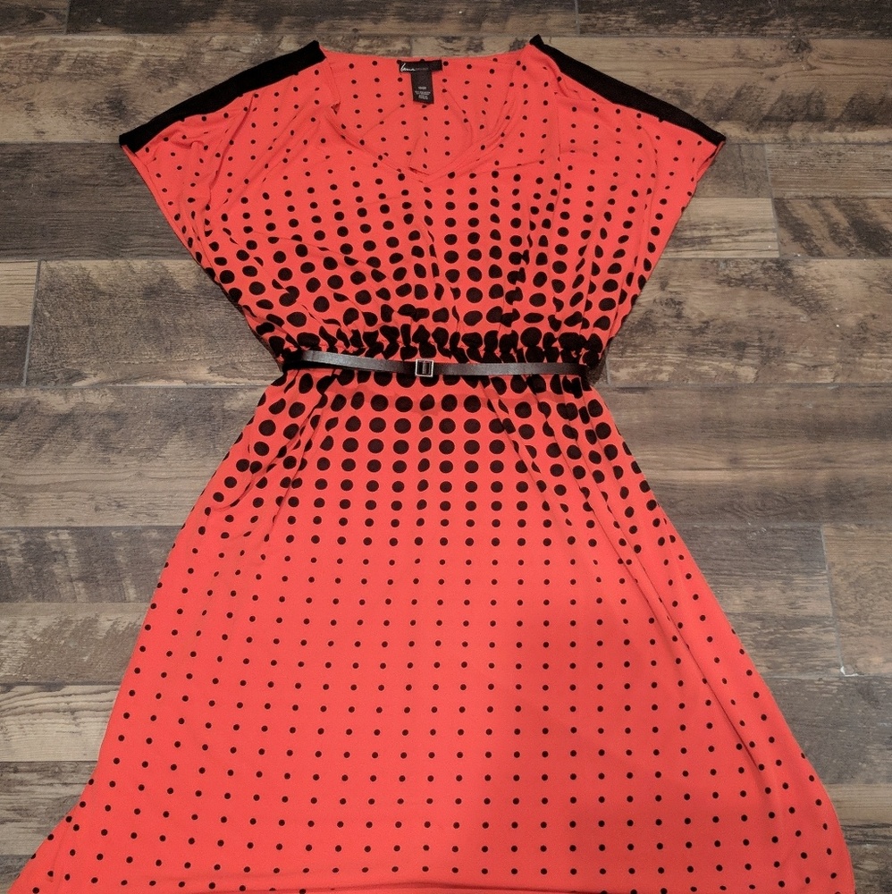Lane Bryant polka dot dress
